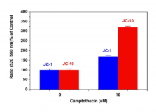Kit de análisis del potencial de membrana mitocondrial Cell Meter™ JC-10