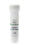 Péptido HighSpec Rho1D4