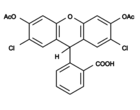 DCFH-DA [diacetato de 2′,7′-diclorodihidrofluoresceína] *CAS 4091-99-0*