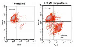 Kit de ensayo de apoptosis nuclear Cell Meter™