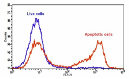 Kit de ensayo de apoptosis de fosfatidilserina Cell Meter™