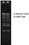 Helixyte Gold (SYBR Gold)